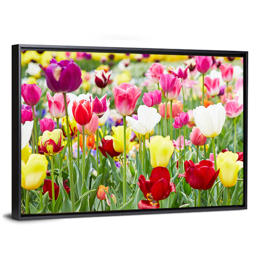 Blooming Tulips Wall Art