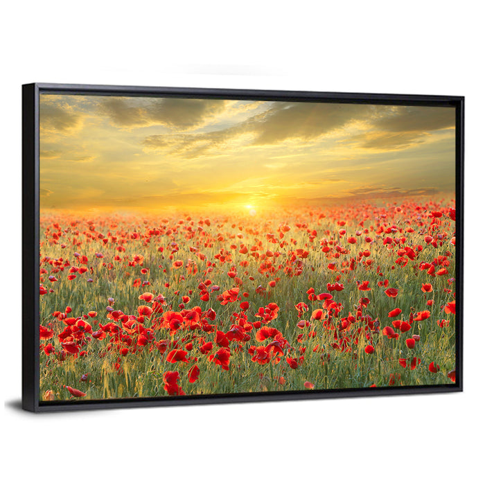 Poppy Field at Sunset Wall Art as a framed canvas