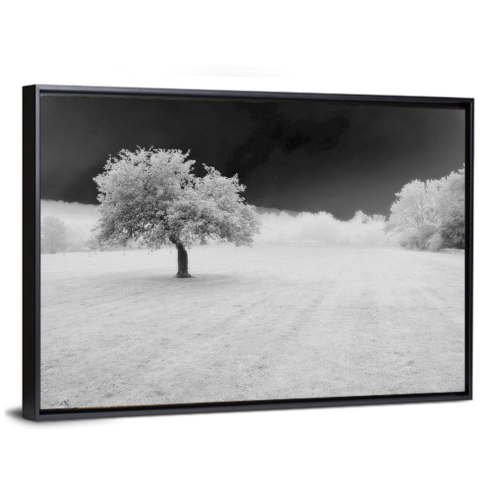 Lonely Tree In Surreal Winter Field Wall Art