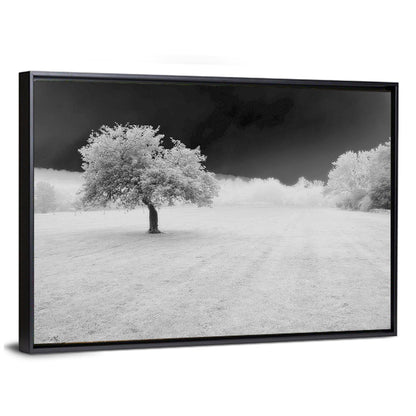 Lonely Tree In Surreal Winter Field Wall Art