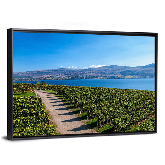 Lake Okanagan Vineyard Path Wall Art as a framed canvas