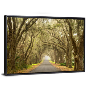 Spanish Moss Countryside Road Wall Art