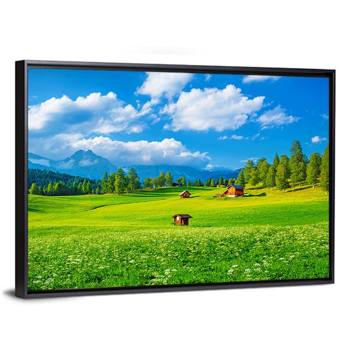 Alpine Valley Meadow, Austria Wall Art