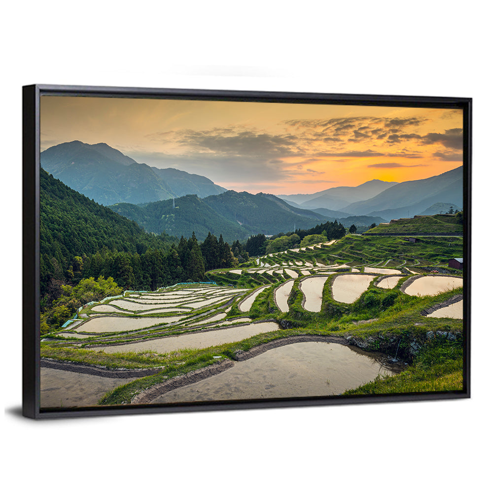 Sunset Over Japanese Rice Terraces Wall Art