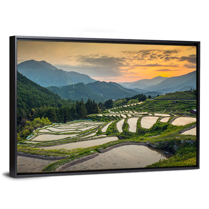 Sunset Over Japanese Rice Terraces Wall Art as a framed canvas