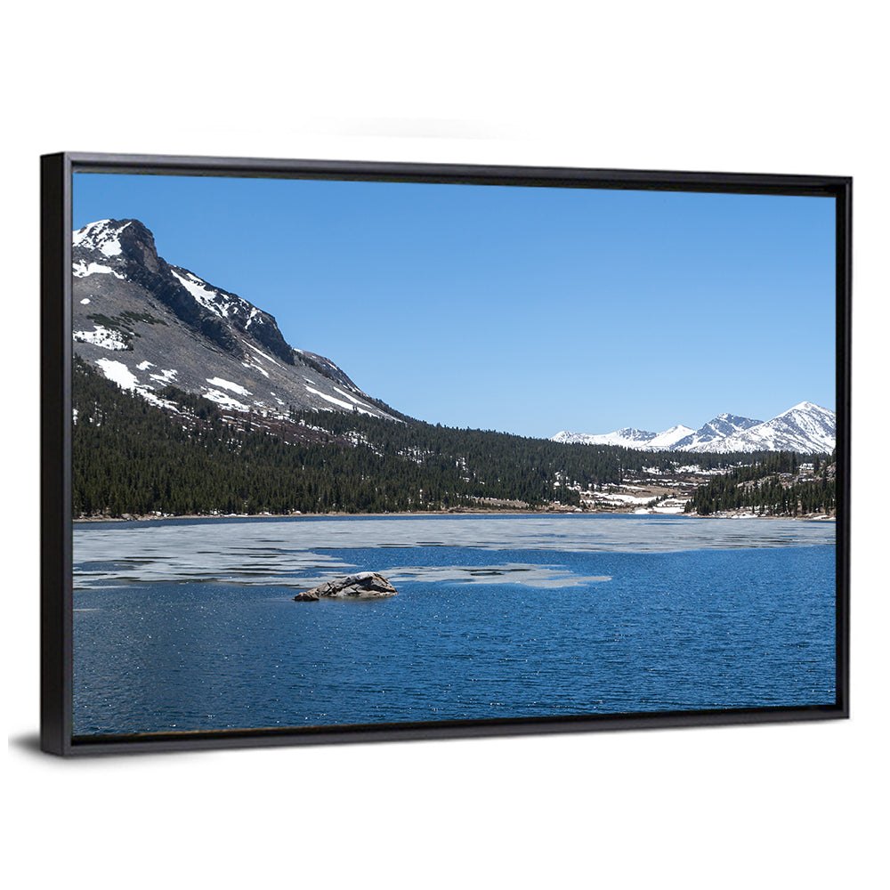 Yosemite Frozen Lake Scene Wall Art