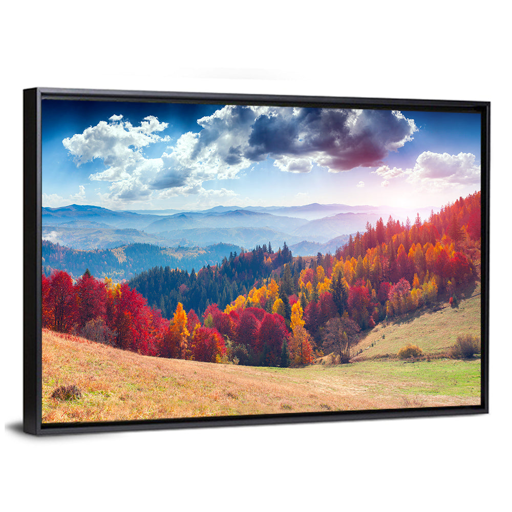 Carpathian Autumn Sunburst Ukraine Wall Art