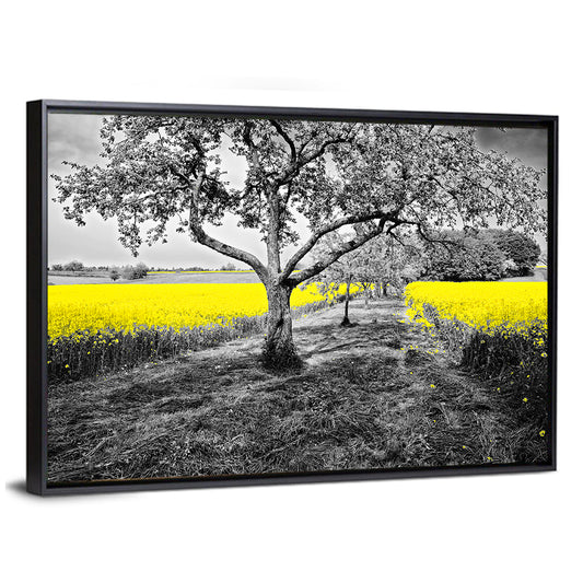 Shining Oilseed Field Wall Art