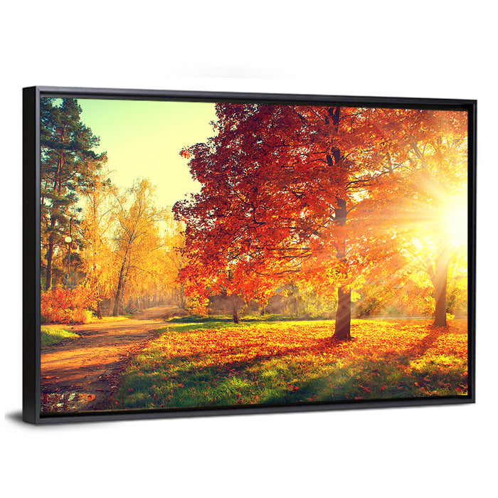 Sunlit Autumn Forest Path Wall Art as a framed canvas