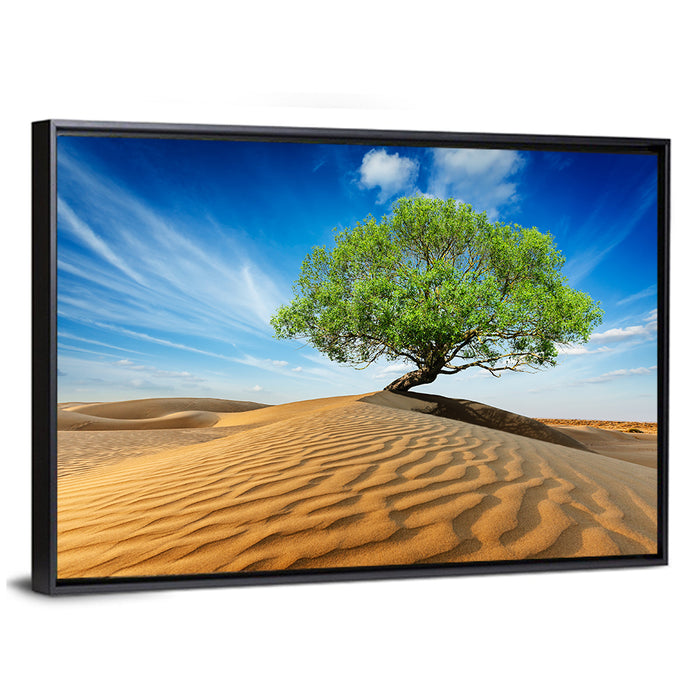 Solitary Green Tree on Sand Dune Wall Art as a framed canvas