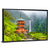 Pagoda Of Seigantoji & Nachi No Taki Waterfall Wall Art