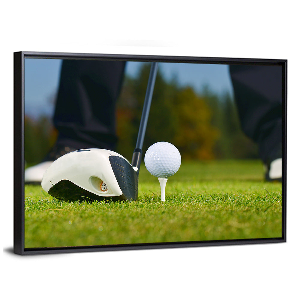 Golf Ball and Club Close Up Wall Art