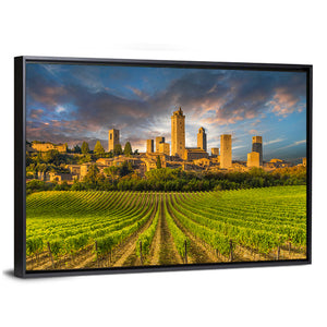 Vineyards Of San Gimignano Tuscany Wall Art