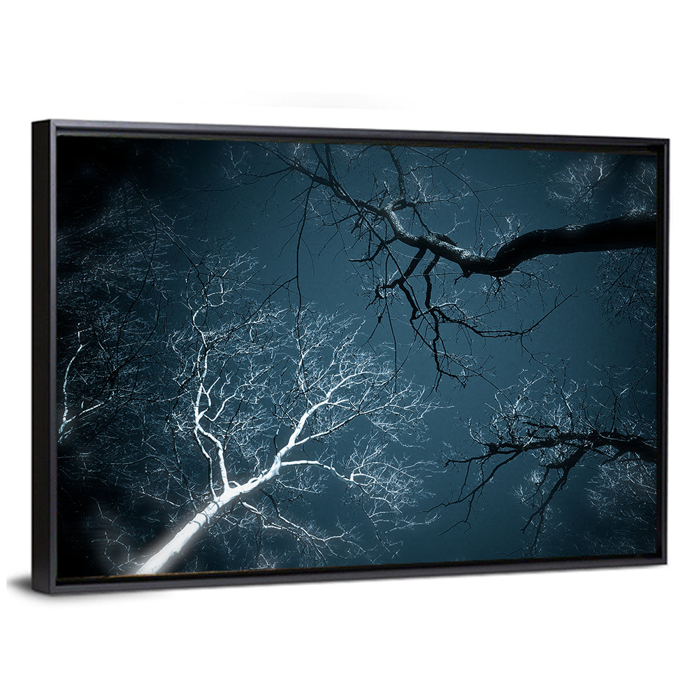 Twilight Canopy with Glowing Bark Wall Art