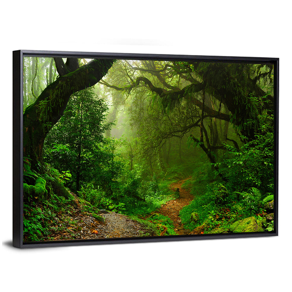 Misty Forest Trail in Nepal Wall Art