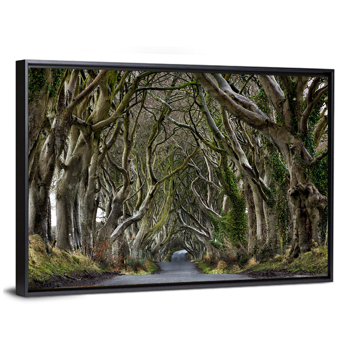 Dark Hedges Tree Tunnel Wall Art as a framed canvas
