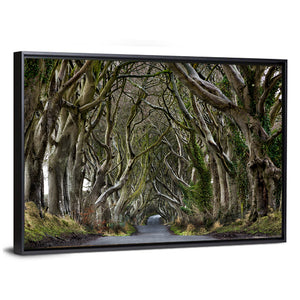 Dark Hedges Pathway Wall Art