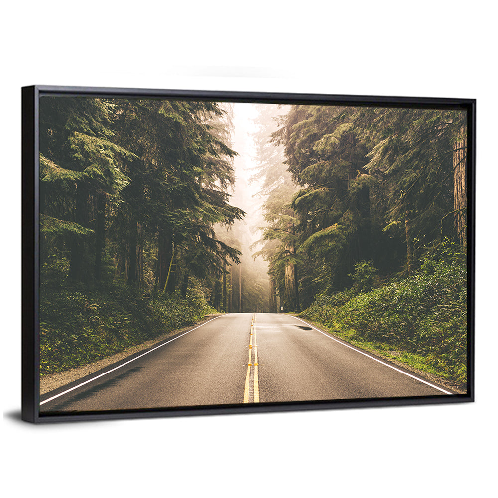 Redwood Highway In Northern California Wall Art
