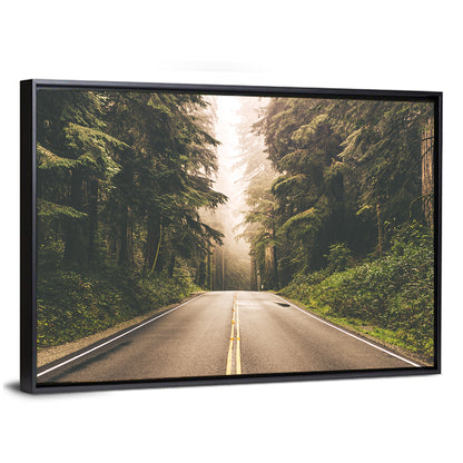 Redwood Highway In Northern California Wall Art