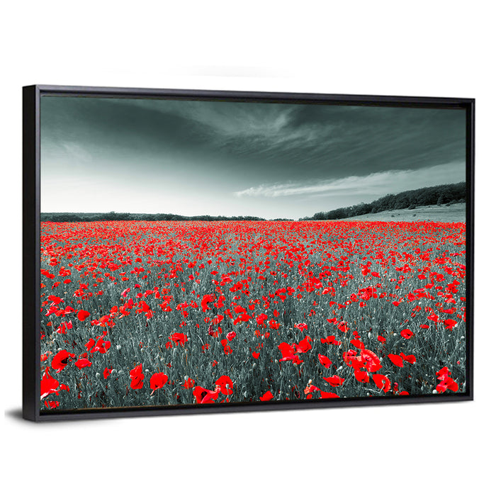 Red Poppy Field Wall Art as a framed canvas