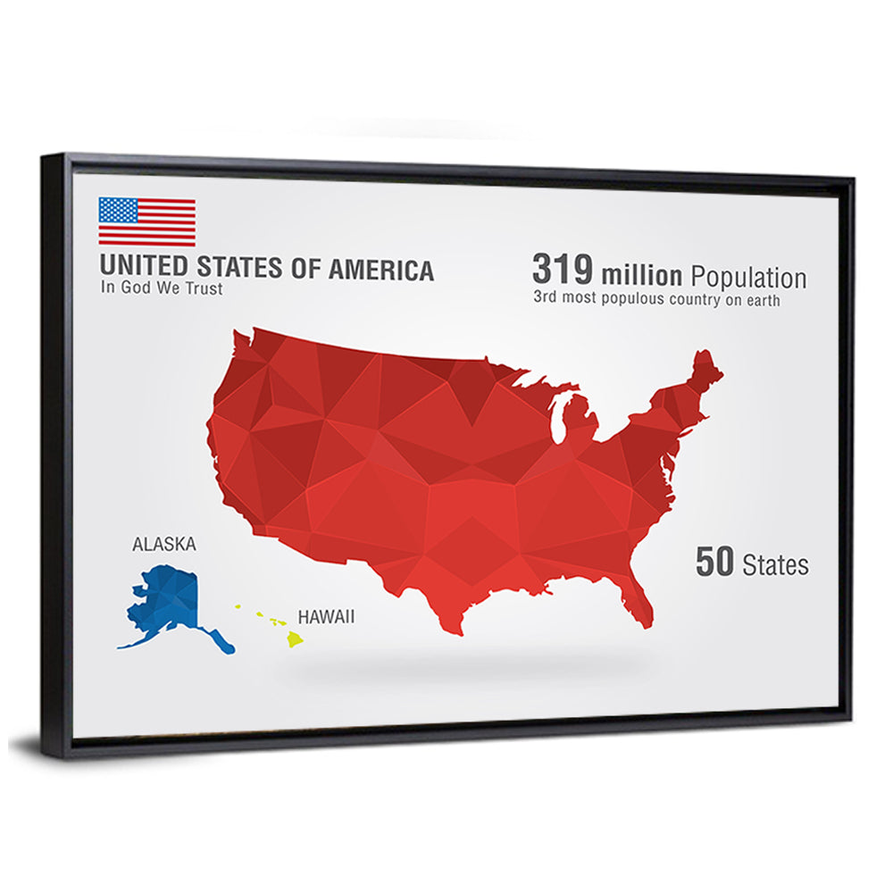 United States Geometric Map Wall Art