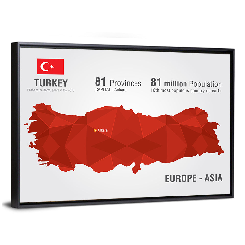 Turkey Map Infographic Wall Art