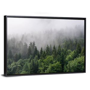 Evergreen Forest Overview Wall Art