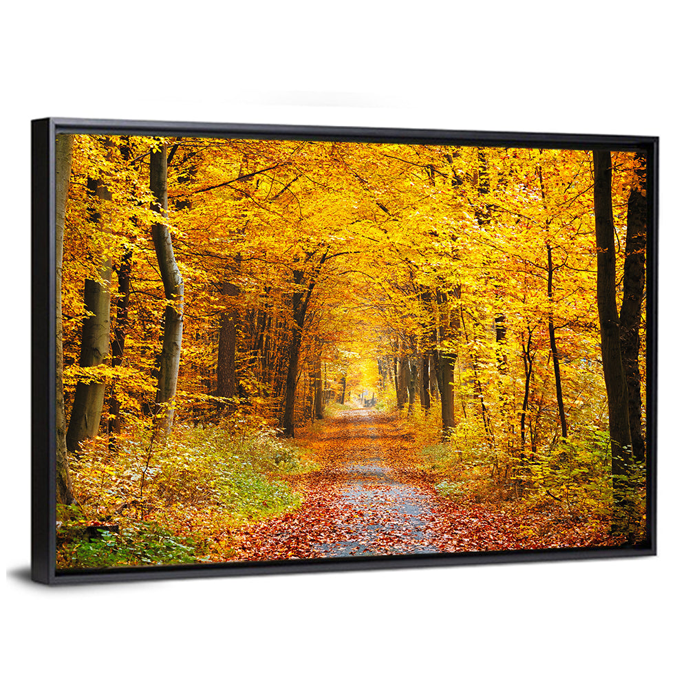 Road In Autumn Forest Wall Art