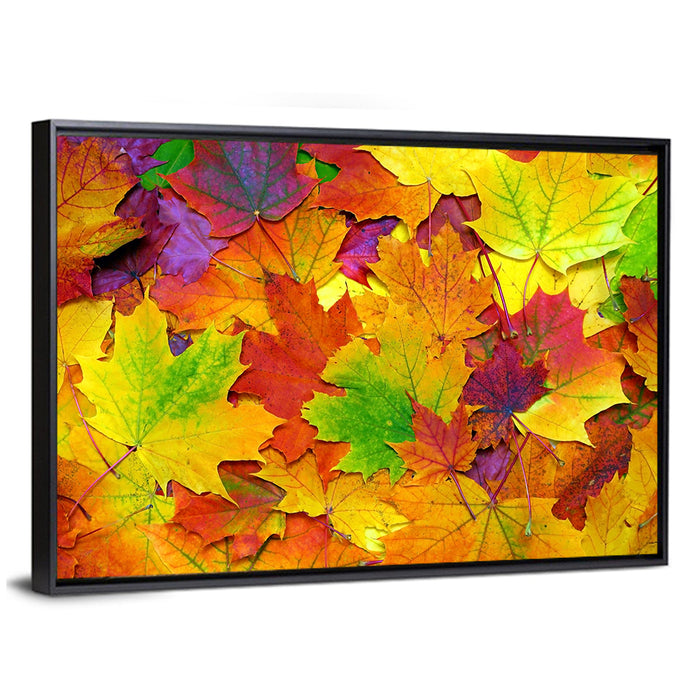 Colorful Autumn Leaves Wall Art as a framed canvas