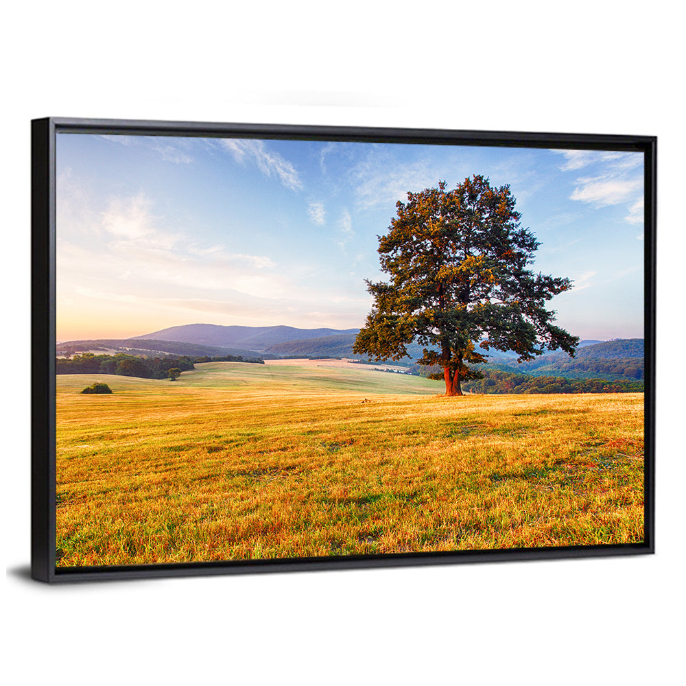 Golden Hour Meadow with Lone Tree Wall Art