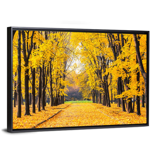 Alley In Bright Autumn Park Wall Art