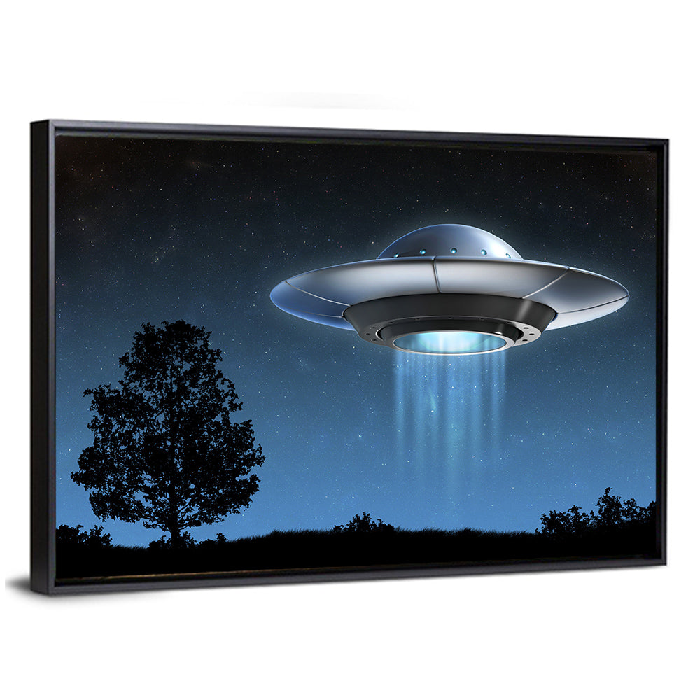 Ufo Over Silhouetted Grassland Wall Art