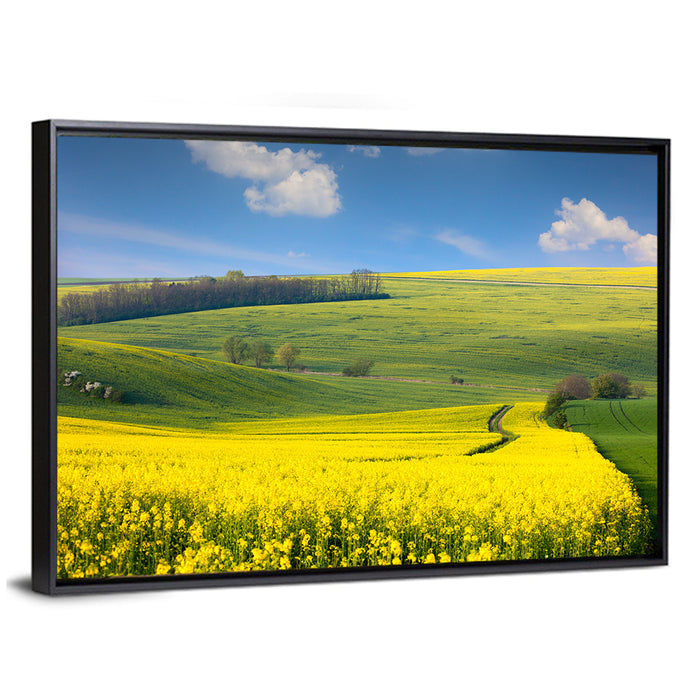 Sunlit Rapeseed Hills Wall Art as a framed canvas