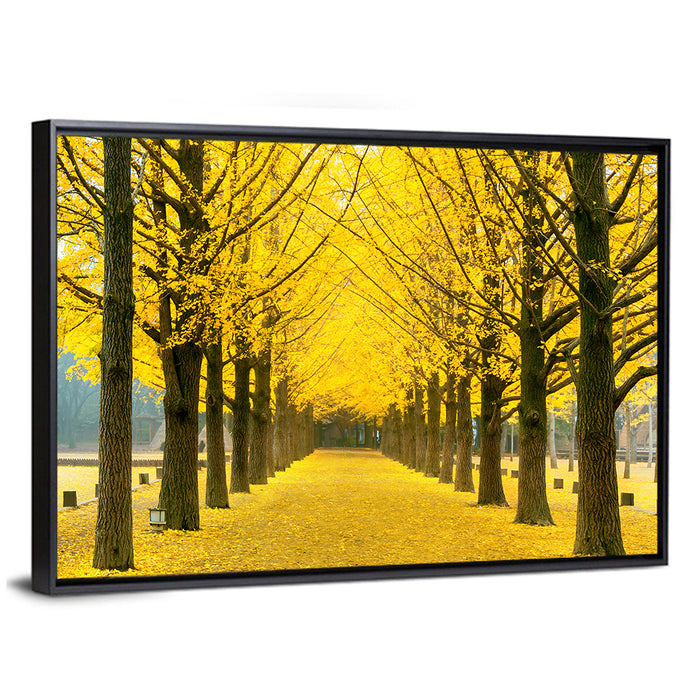 Nami Island Ginkgo Tree Tunnel Wall Art as a framed canvas