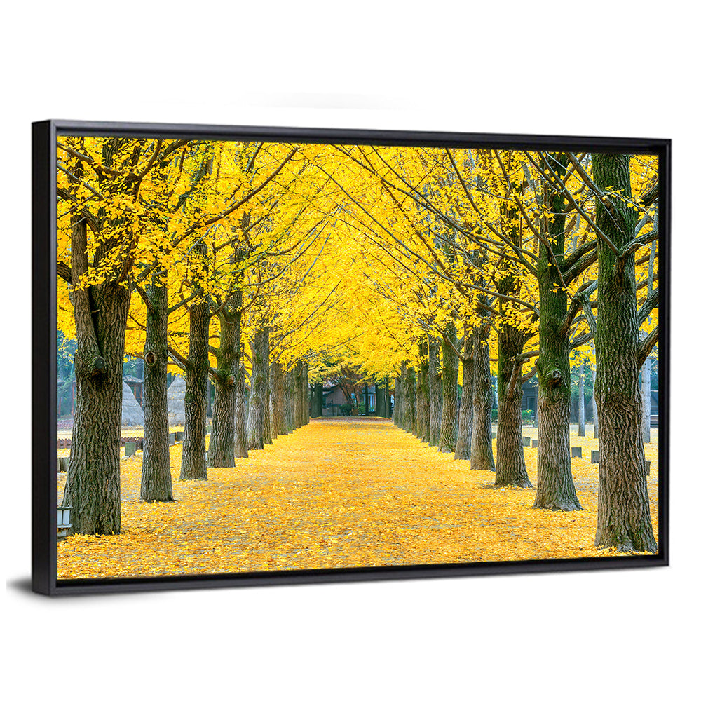 Row of Yellow Ginkgo Trees Wall Art
