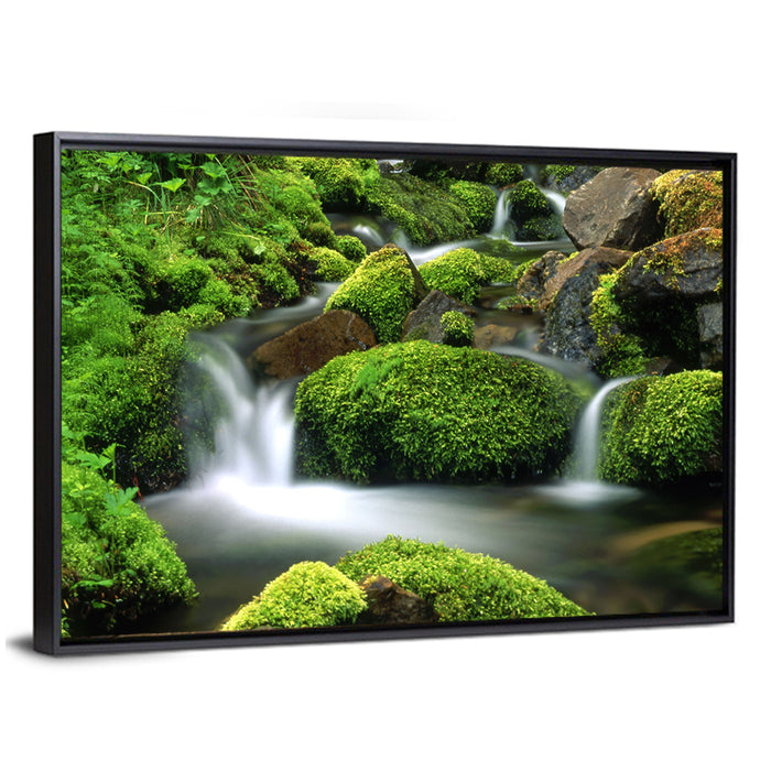 Mossy Mountain Stream Wall Art as a framed canvas