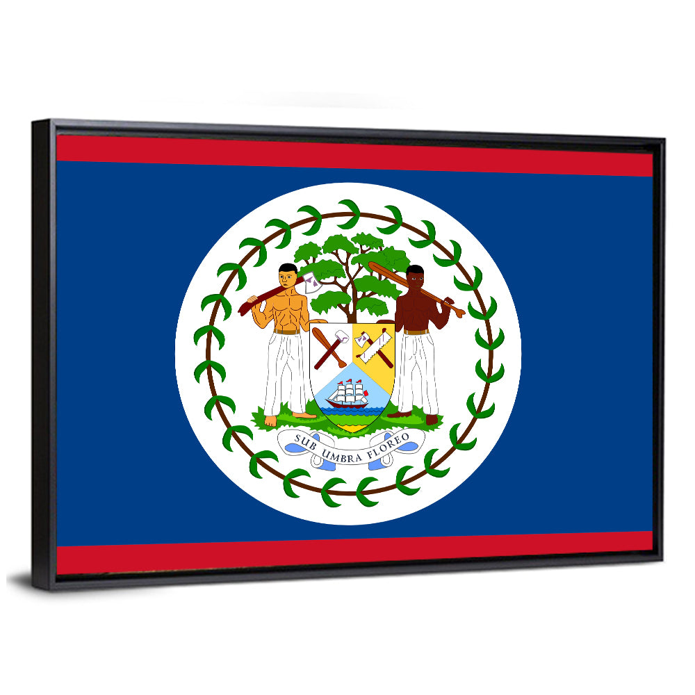 Belize National Flag Emblem Wall Art