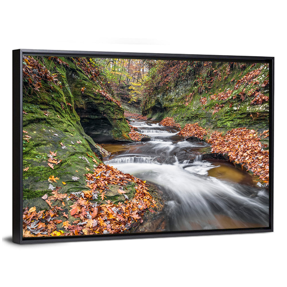 Warren County Autumn Cascades Wall Art