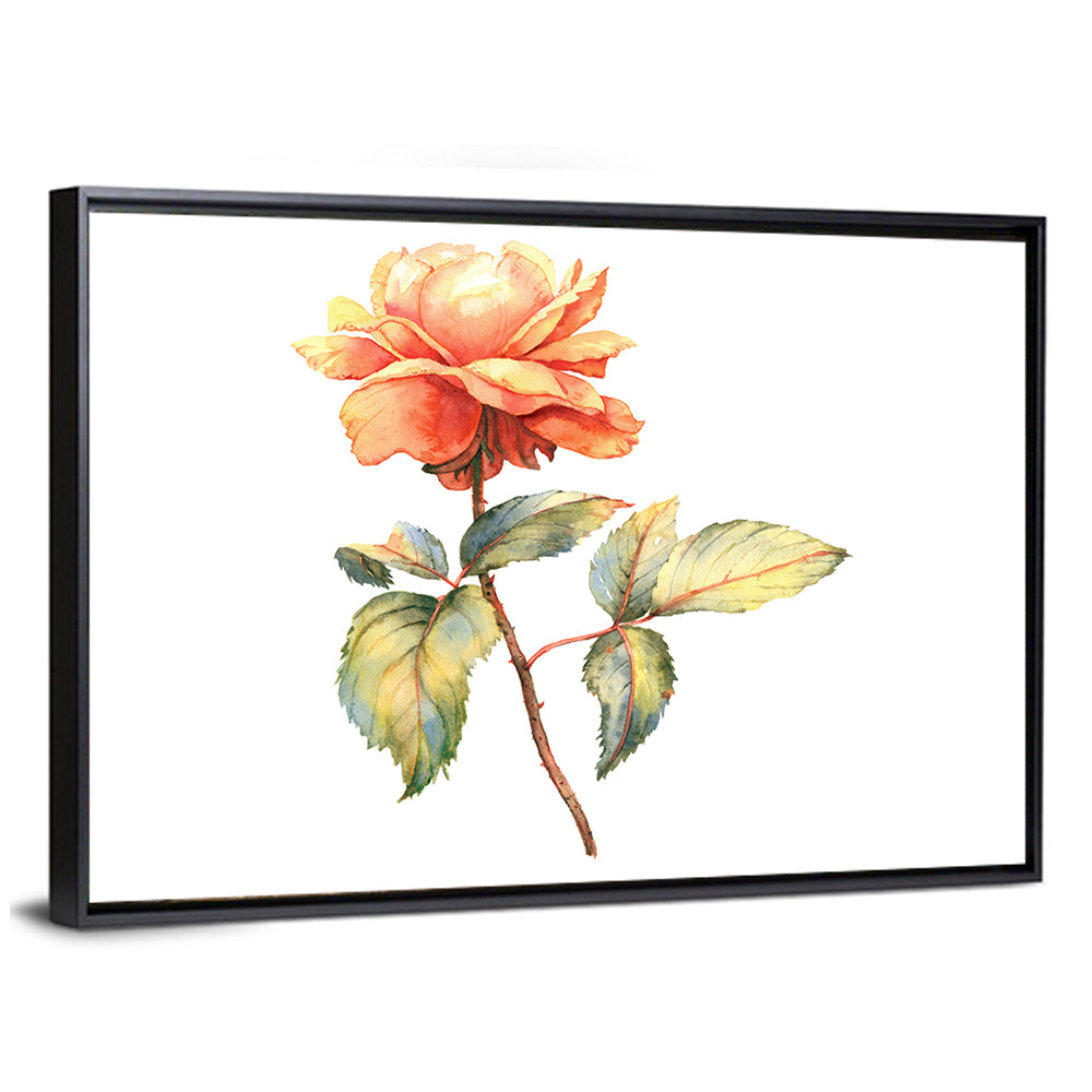 Orange Watercolor Rose Illustration Wall Art