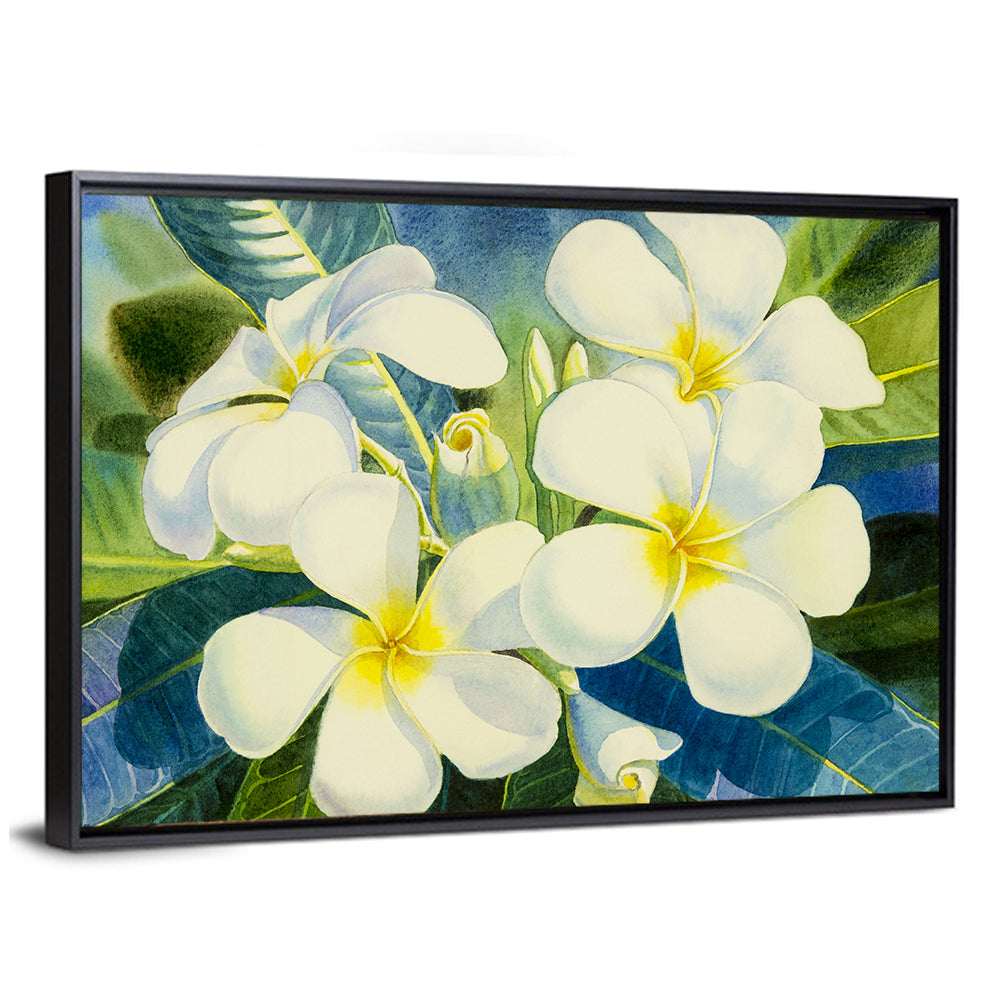 White Plumeria Watercolor Study Wall Art