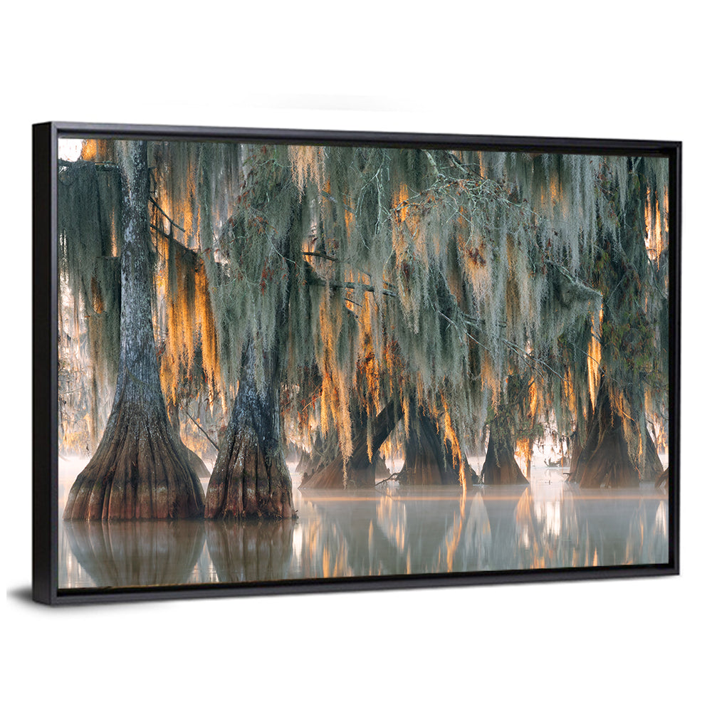 Bald Cypress Trees with Spanish Moss Wall Art