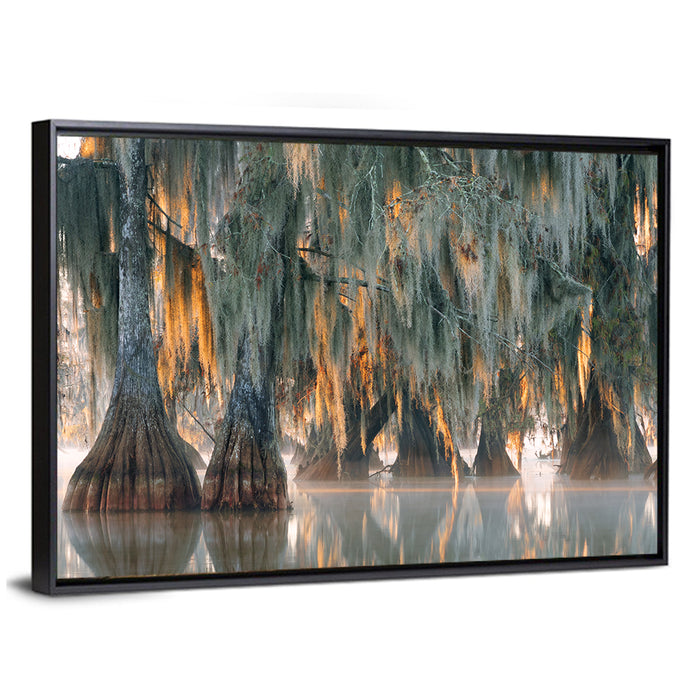Bald Cypress Trees with Spanish Moss Wall Art as a framed canvas