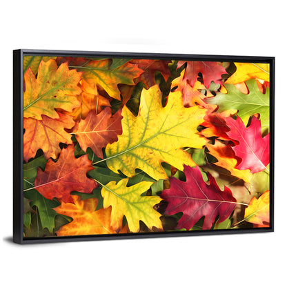 Colorful Oak Autumn Leaves Wall Art
