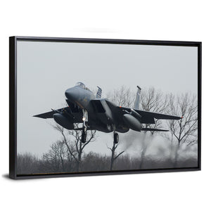 USAF F-15 Eagle Jet Wall Art