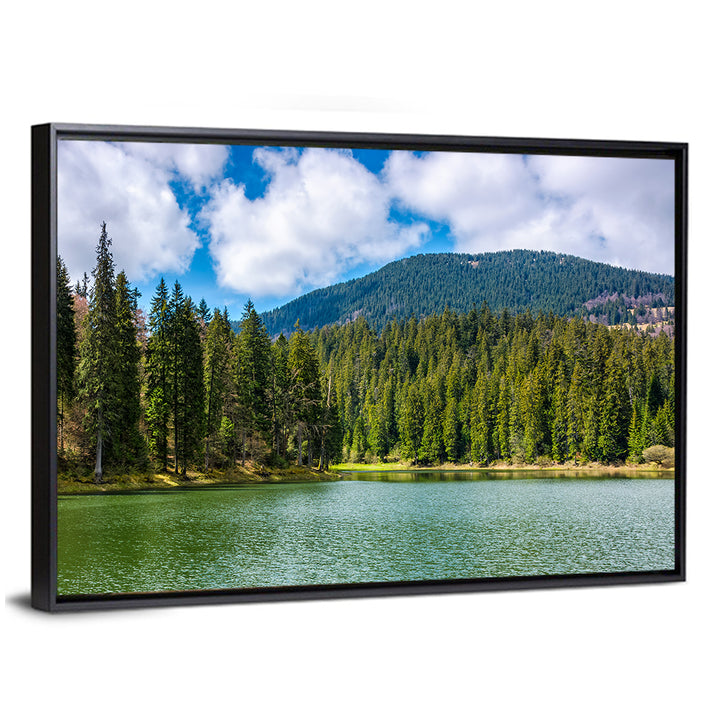 Synevir Mountain Lake Wall Art