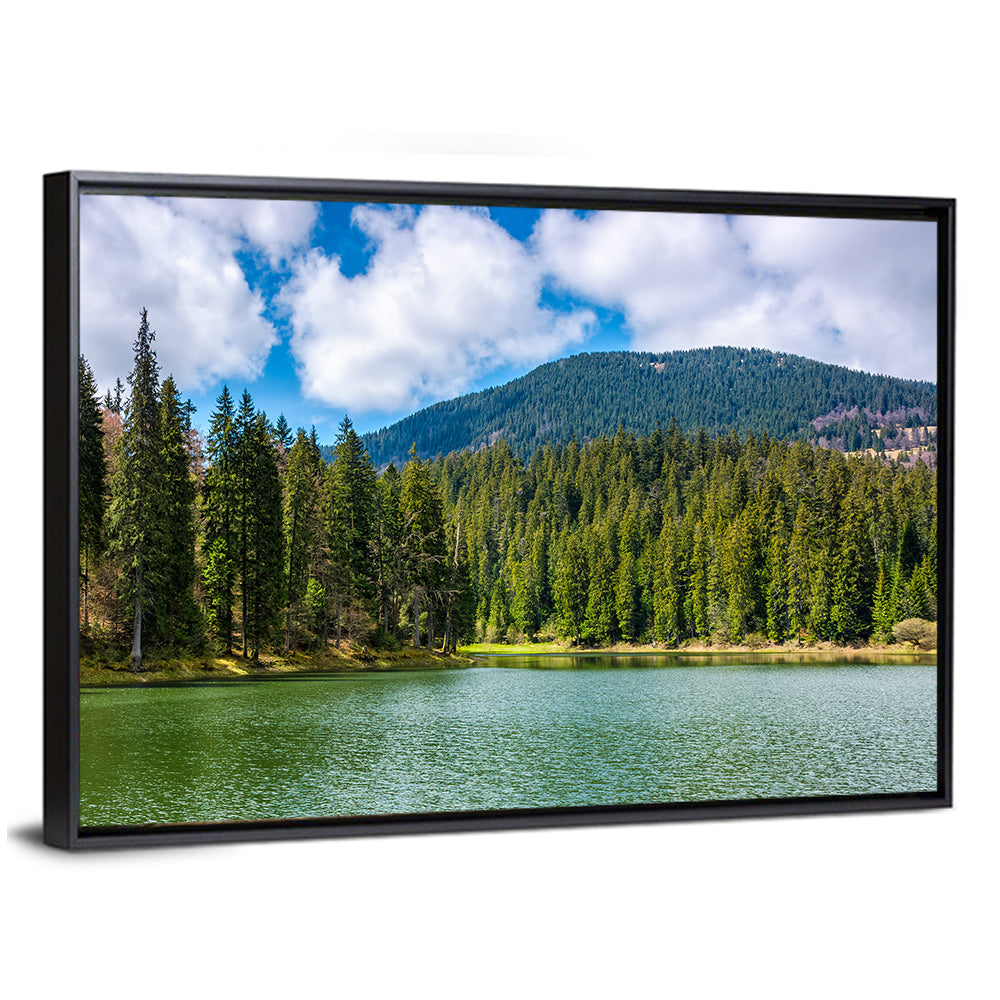 Mountain Lake Synevir Wall Art