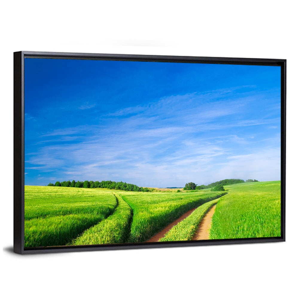 Summer Meadow with Dirt Path Wall Art