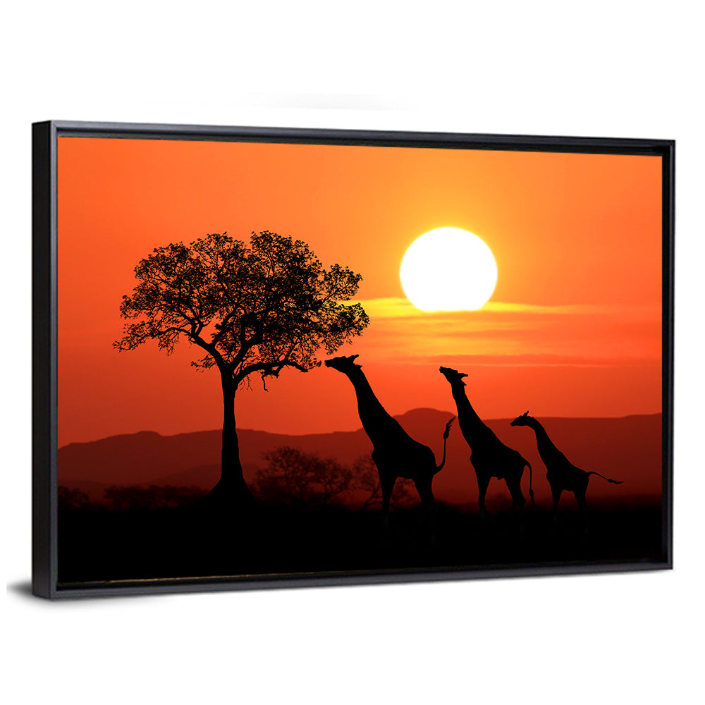 Three Giraffes at Sunset Wall Art
