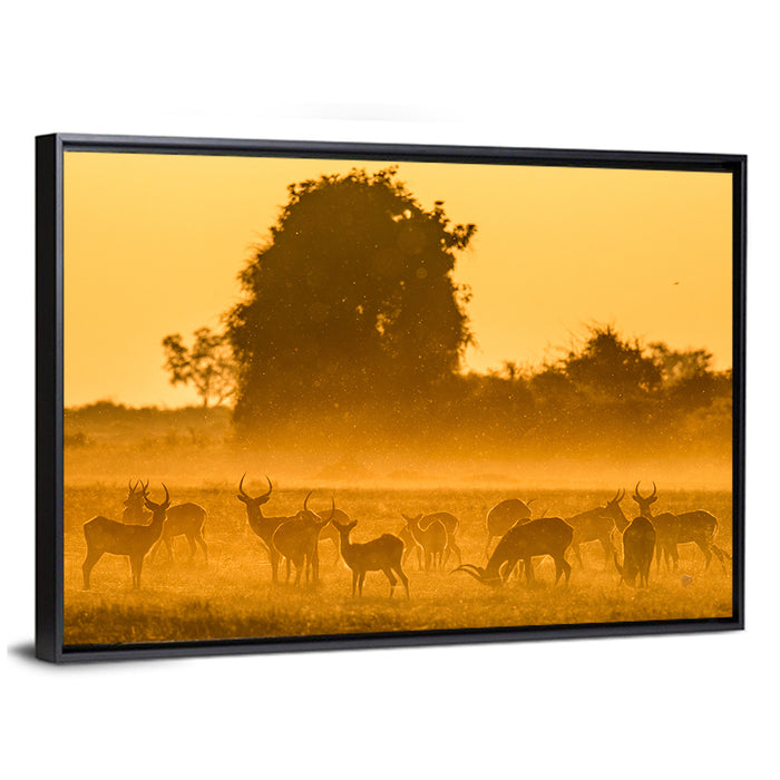 Antelope Herd at Golden Hour Wall Art as a framed canvas