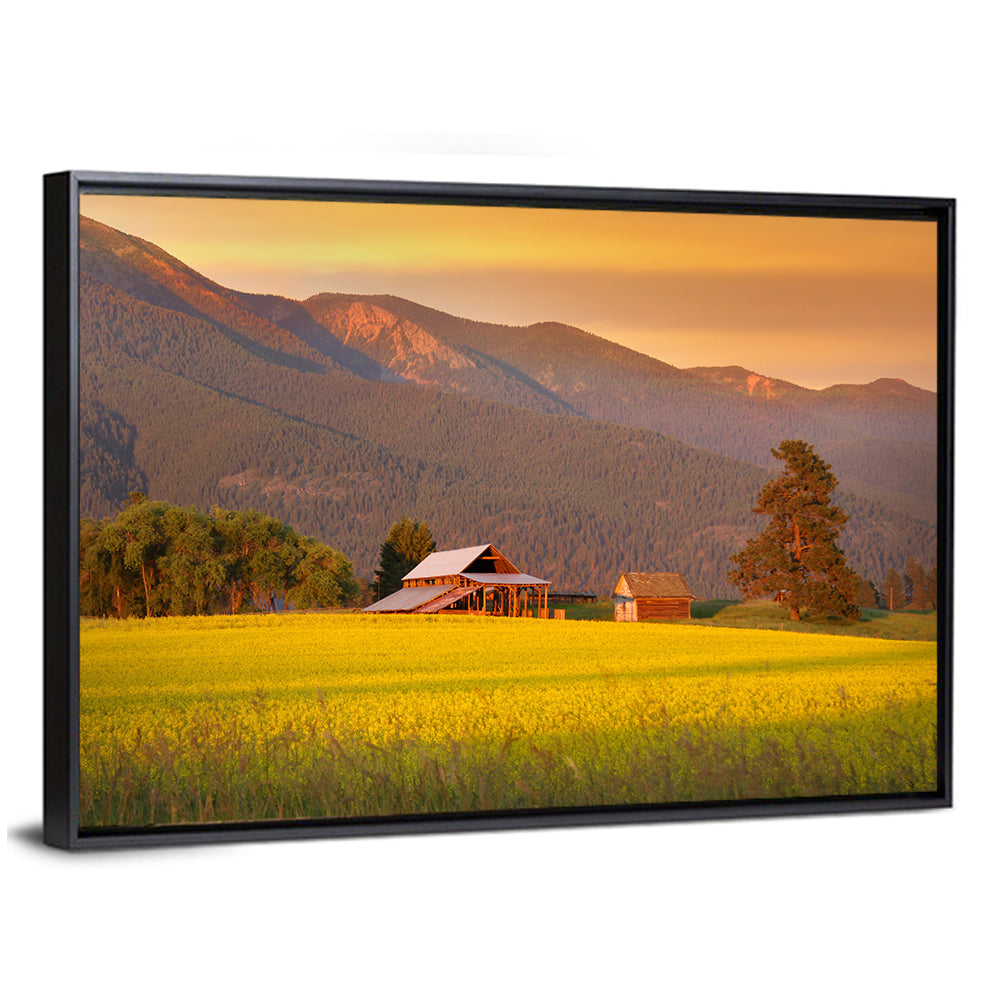 Rapeseed Field and Barn at Golden Hour Wall Art